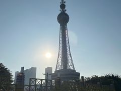 -文华公园(禅城区)
