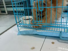 -嘉馨宠物医院·CT影像转诊·心脏科·犬猫全科诊疗中心(下沙大学城院区)