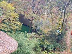 -WeLope紫金山探险公园