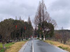-良渚古城遗址公园
