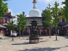 -西塔