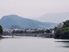 -新建村梅花