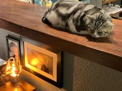 -咖法森林·咖啡  酒吧(天河店)