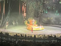 -广州长隆国际大马戏