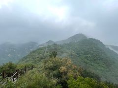 -大岭沟猕猴桃谷风景区
