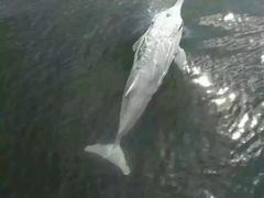 -鑫艋游艇海钓俱乐部