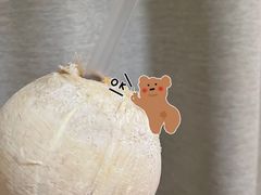 -三亚新鸿港水果一级批发市场