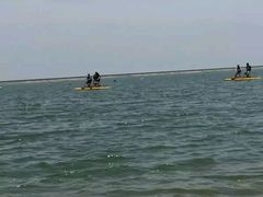 -碧海金沙