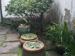 -院子餐厅·大锅菜·老杭帮(桥西直街店)
