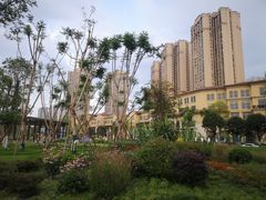 -府河摄影公园
