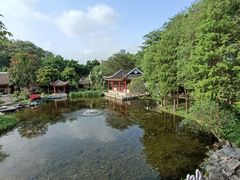 -顺峰山公园