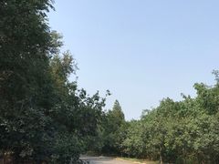 -永定河休闲森林公园