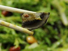 -瑞杰烧烤店·24小时营业(山东路店)