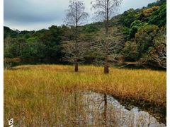 -梧桐山风景名胜区