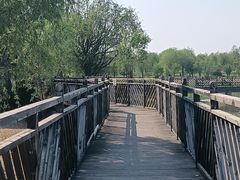 -武清南湖绿博园