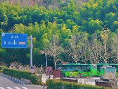 -四明山国家森林公园