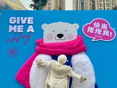 -海合安成都极地海洋公园