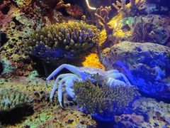 -上海海昌海洋公园