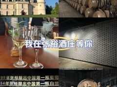 -北京张裕爱斐堡酒庄