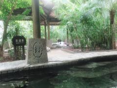 -龙达温泉生态城