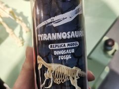 -辽宁古生物博物馆