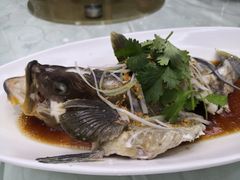 -悦来酒家·正宗闽南菜(西街店)
