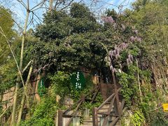 -素描餐厅(灵隐天竺店)