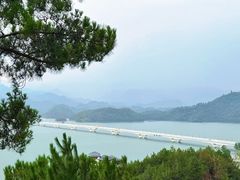 -浔味·山屿湖·正宗淳牌全鱼宴老字号