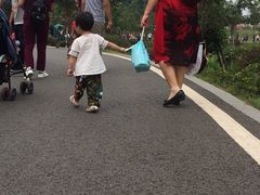 -枫香湖儿童公园