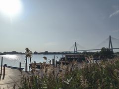 -芒洲湿地公园