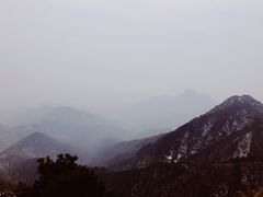 -星巴克(泰安万达店)