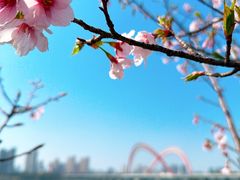 -艾溪湖湿地公园