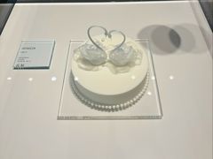 -BLACKSWAN黑天鹅(新希望店)