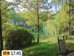 -洪湖悦兮半岛国际温泉度假村