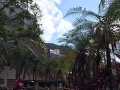 -香港大学