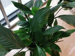 -福寿堂·推拿按摩养生(现代城店)