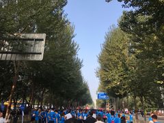 -沈阳奥林匹克体育中心