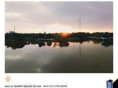 -王借岗森林公园