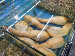 -明记海鲜大排档(巽寮湾店)