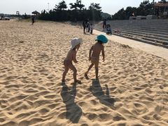 -日照海滨国家森林公园