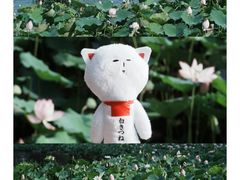 -荔湾湖公园