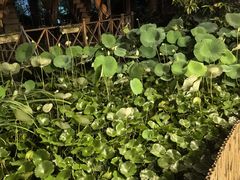 -大汗烧烤滩羊馆(清水河公园店)
