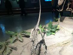 -自贡恐龙博物馆