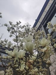 -妈咪爱月子中心·母婴护理