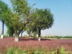 -汉长安城未央宫国家考古遗址公园