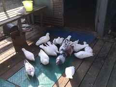 -白塘生态植物园