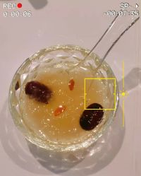 -三只熊皮肤管理中心旗舰店