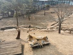 -大连森林动物园