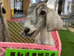 -开元商城(西旺店)