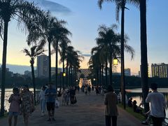 -南宁南湖公园